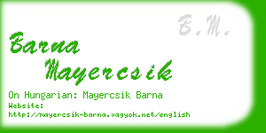 barna mayercsik business card